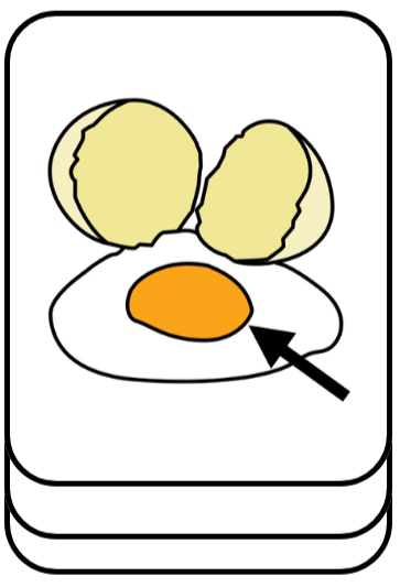 Yolk